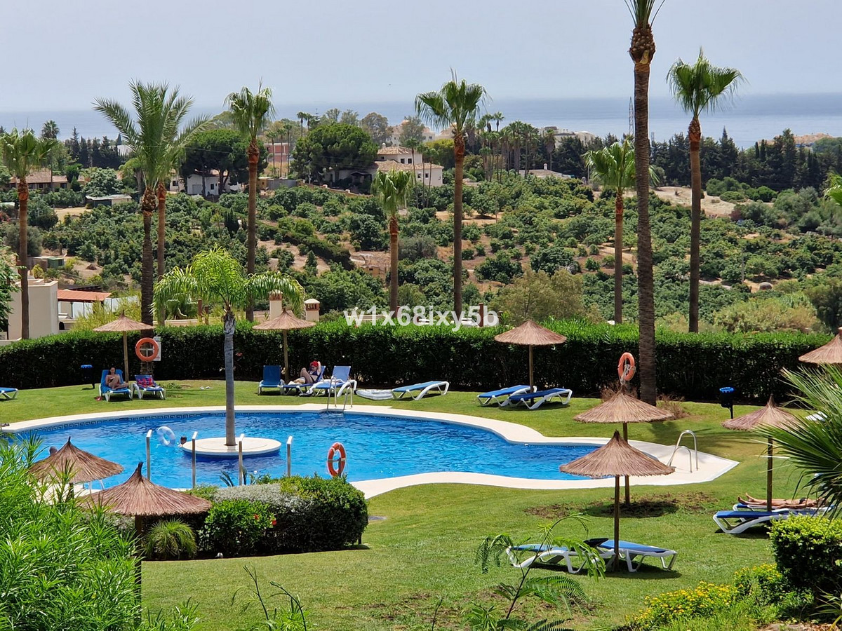 Estepona