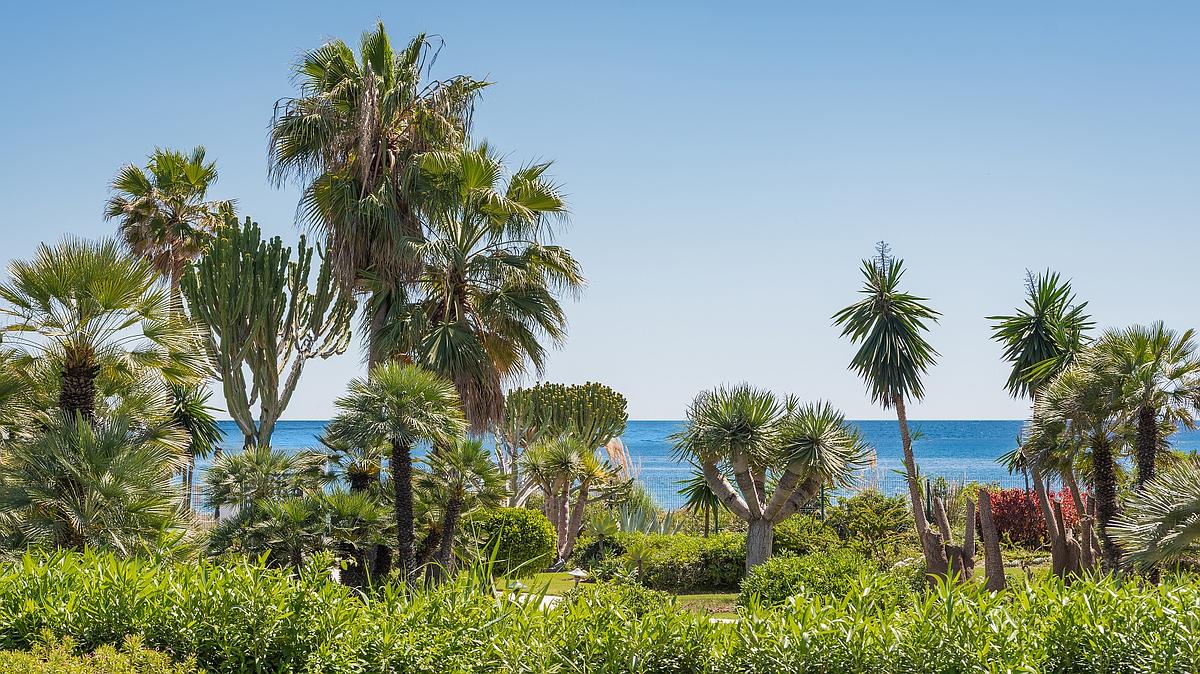 Estepona