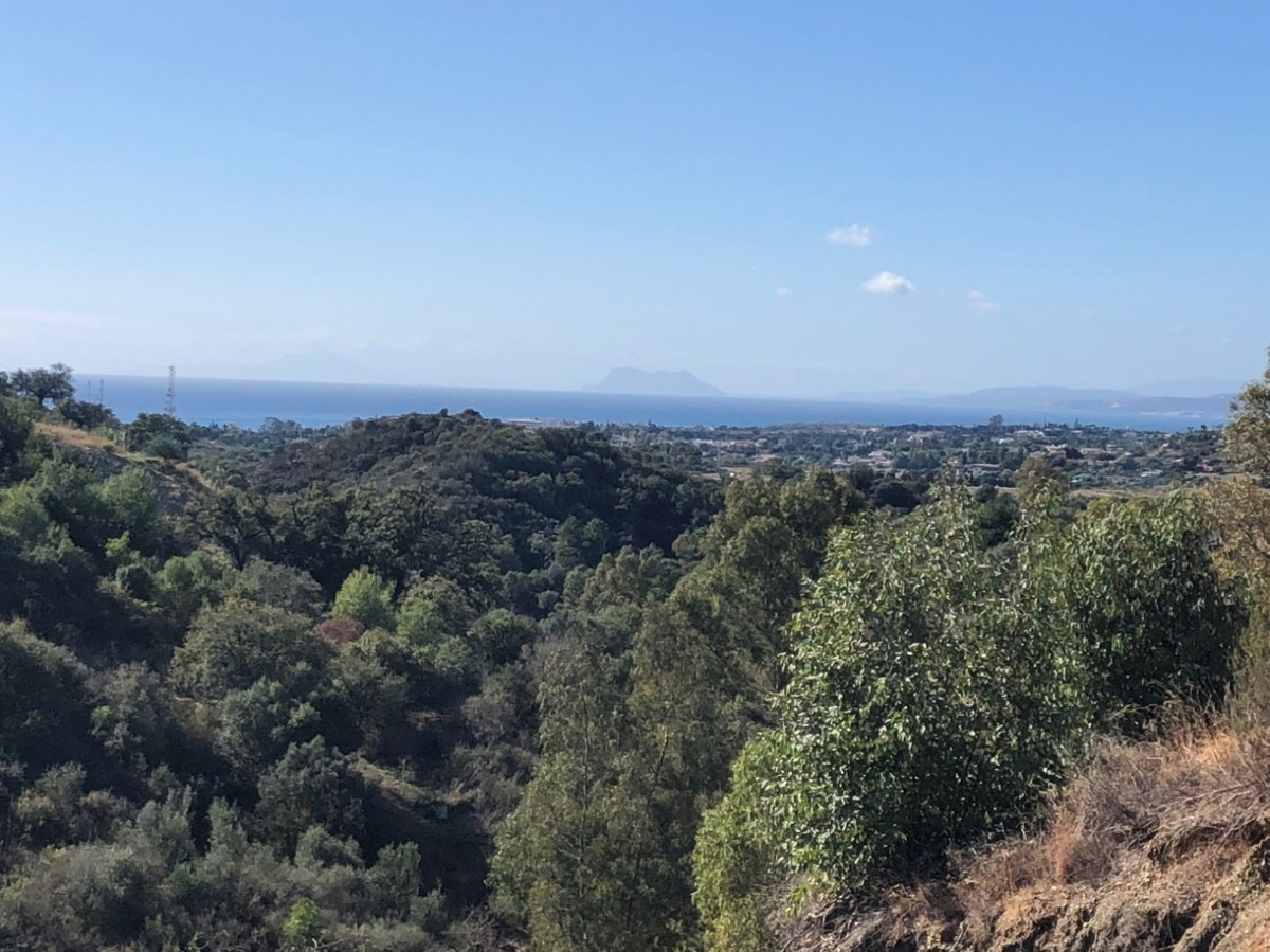Nueva Milla de Oro, Estepona